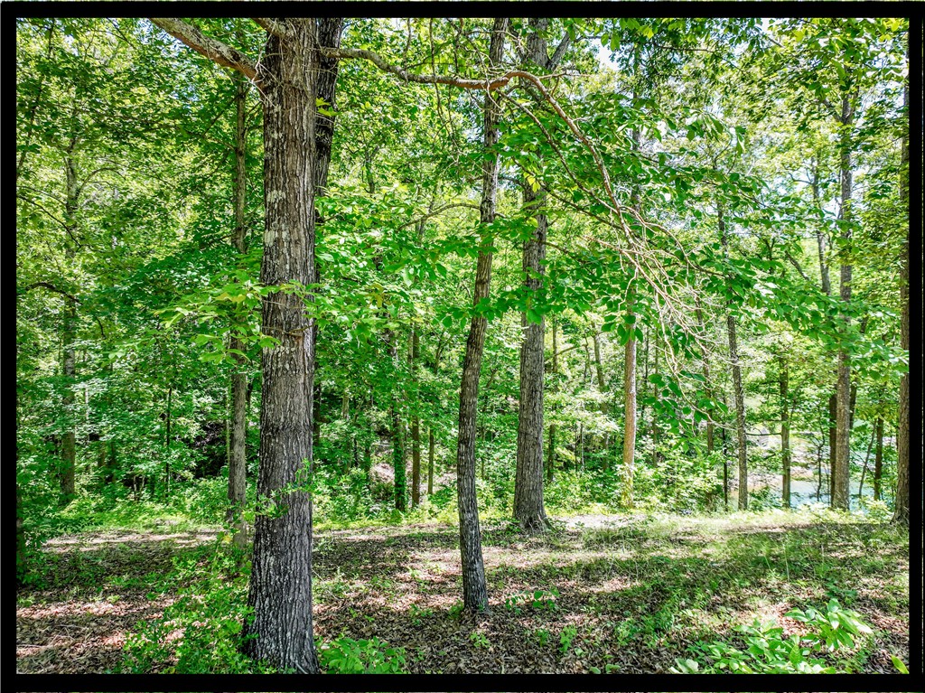 164 Wild Azalea Point