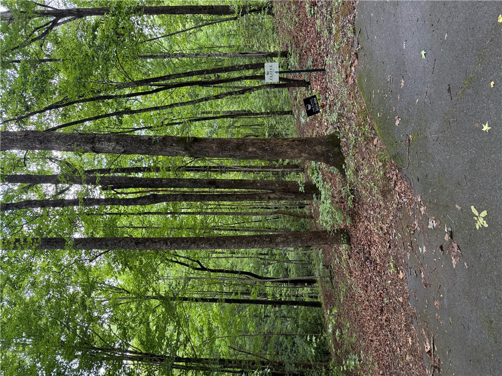 125 Cottage Side Trail