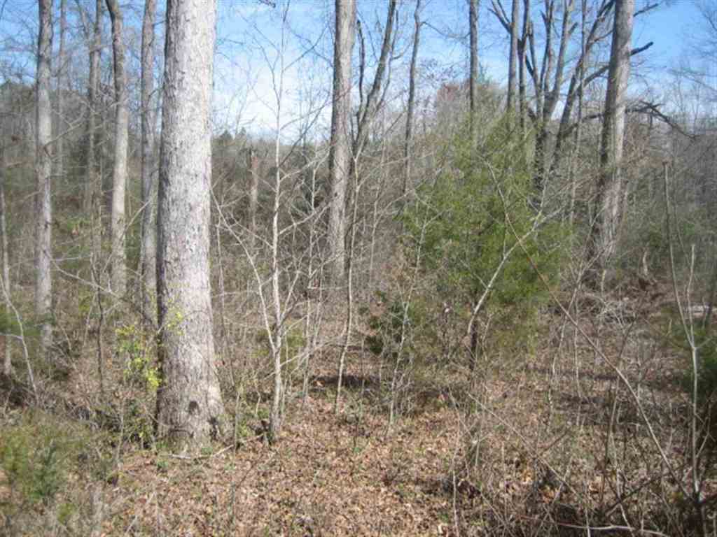 Lot 1 Brookside Drive