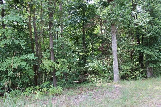 0 Lakeshore Cir, 67 & 68