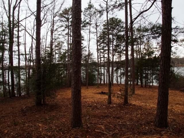 Lots 33&34 Hudgens Lake Road