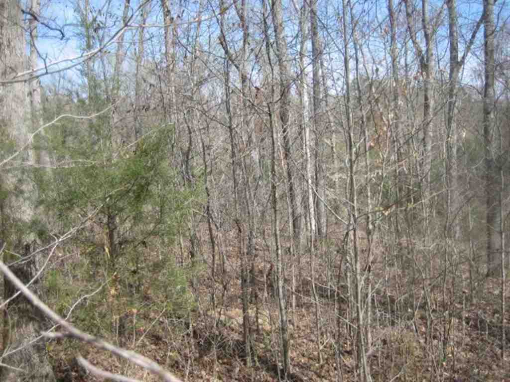 Lot 9 Brookside Drive
