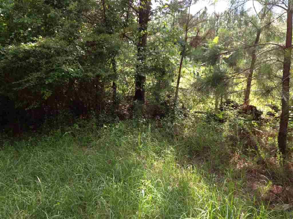 00 Stafford Road