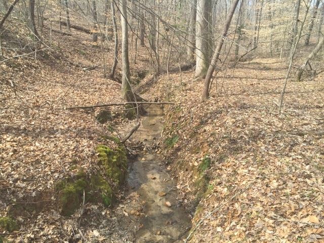 Lot 12 Martins Creek Road 6 ac Martins Creek road