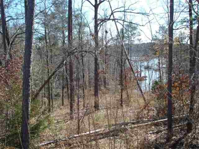 261 Capps Road Lots 34 & 35