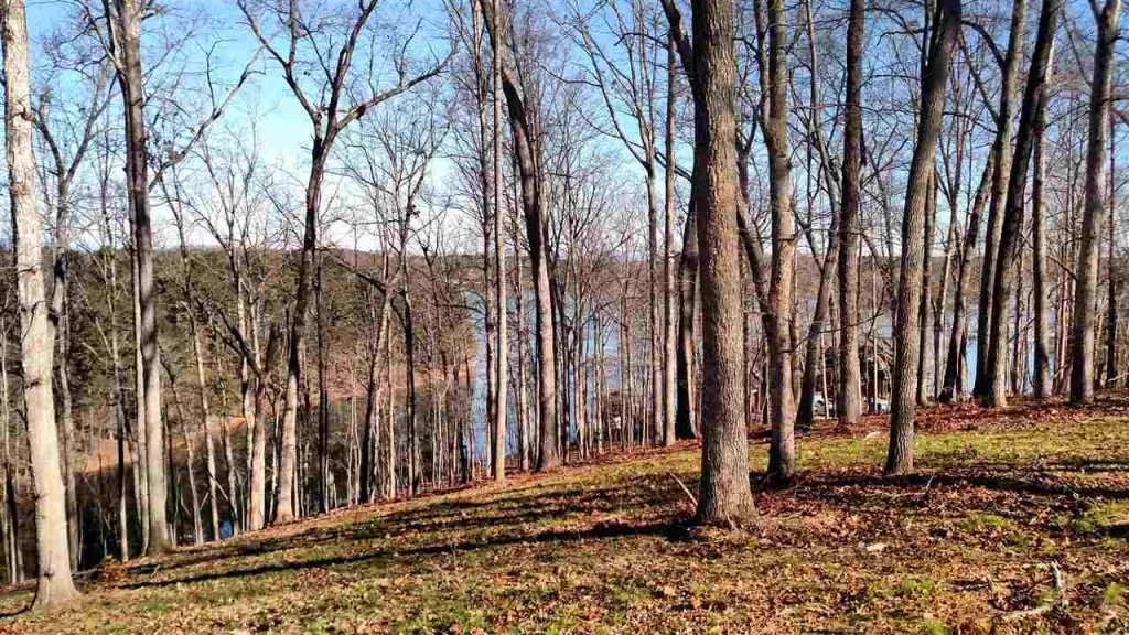 Lt 14 Stone Cove