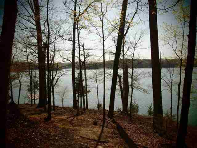 Lot 11 Fennell Point