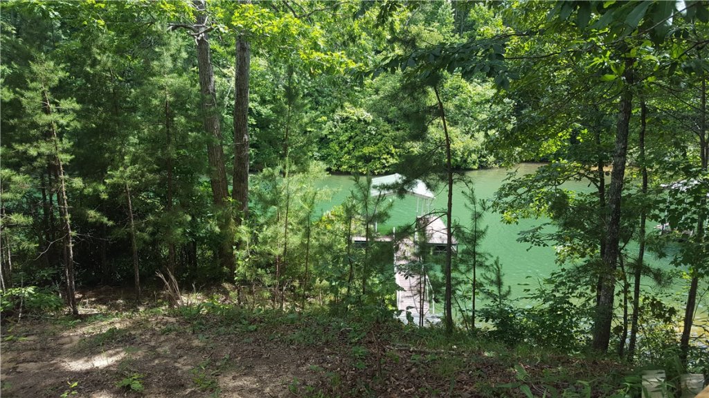 176 Sweetwater View Road w/covered dock