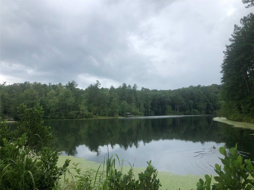 239 N Little River Road