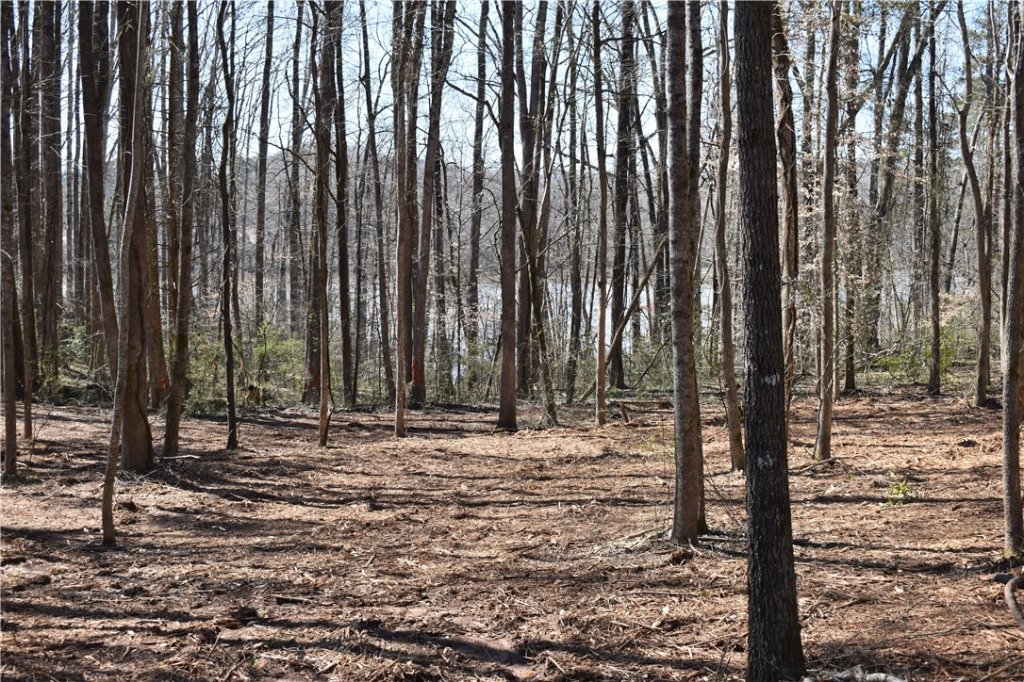 00 Blackjack Cove Road Lots 23&24