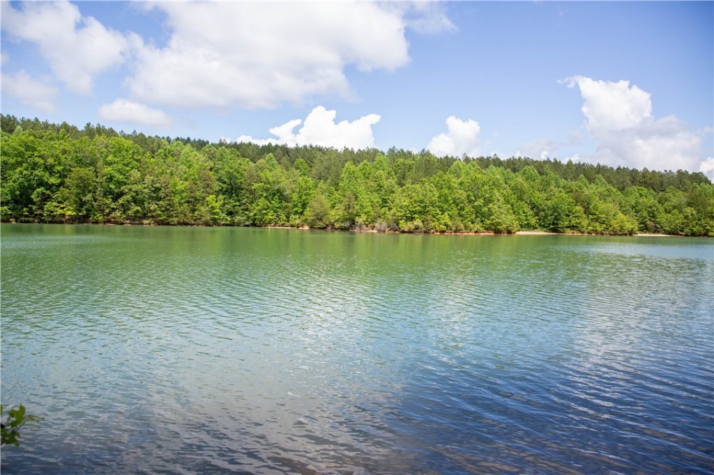 Lot 10 Spring Hollow Bark Shed Trail