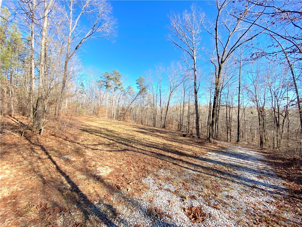 559 Jenkins Bridge Road