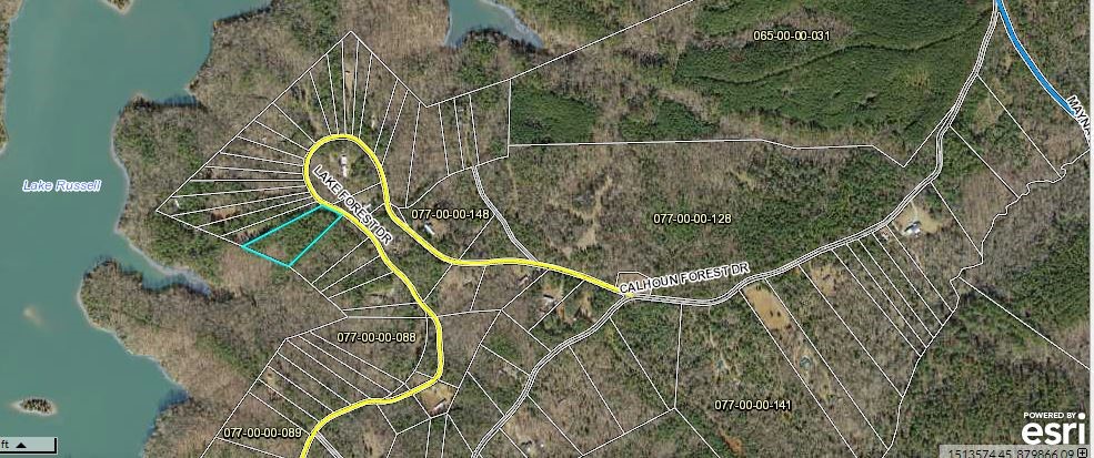 Lots 28 & 29 Lake Forest Drive