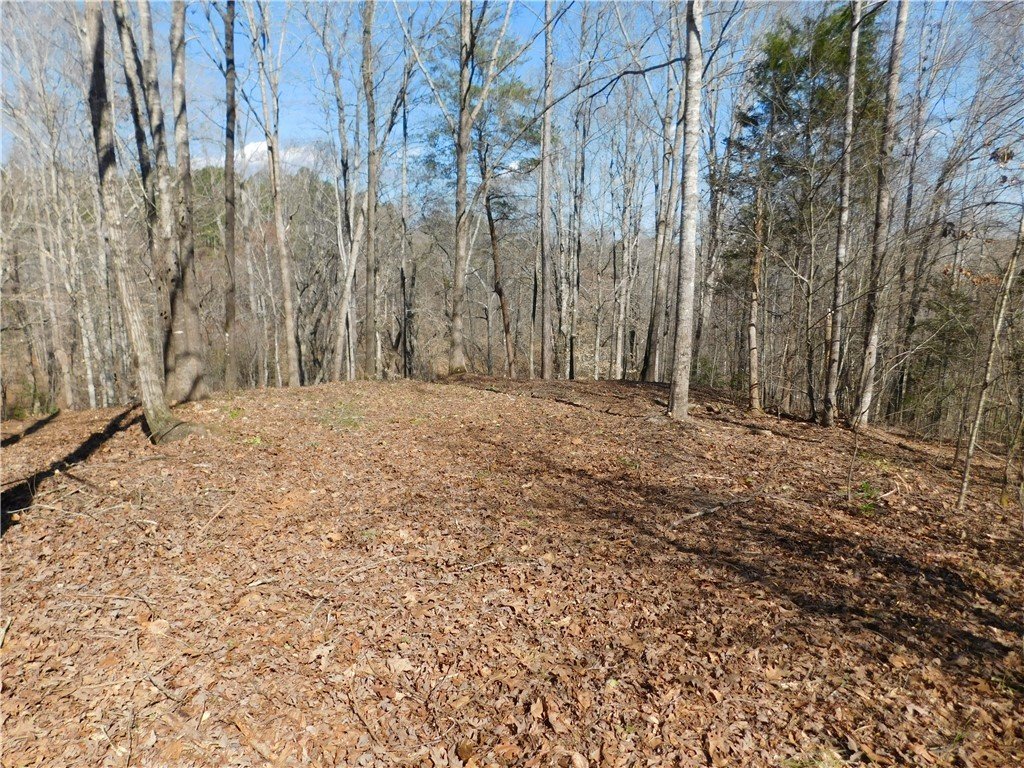 327 Cliffs South Parkway