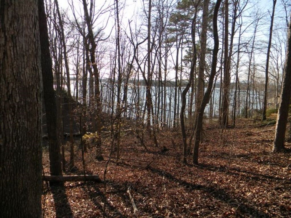 1000 Gaineswood Cove