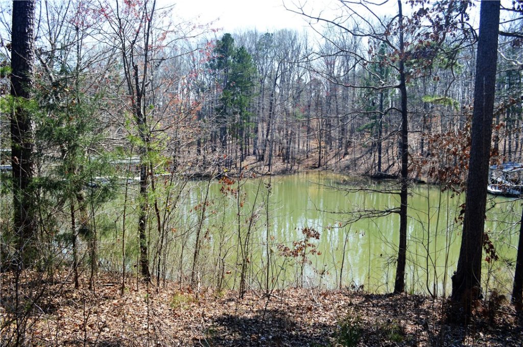 251 Oak Stone Drive