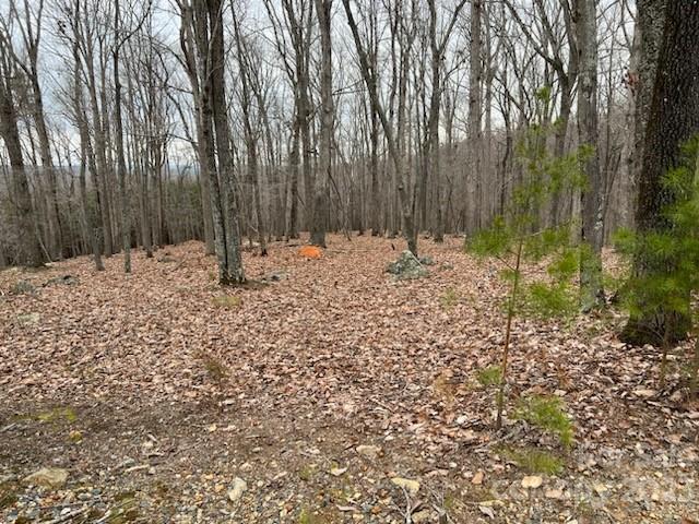 282 Cascading Creek Trail