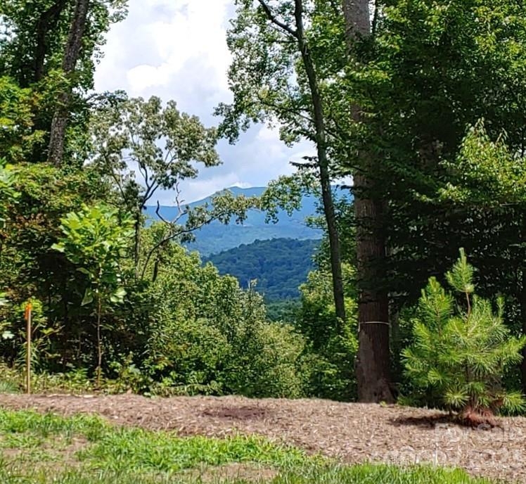 11 Hickory Top Lane