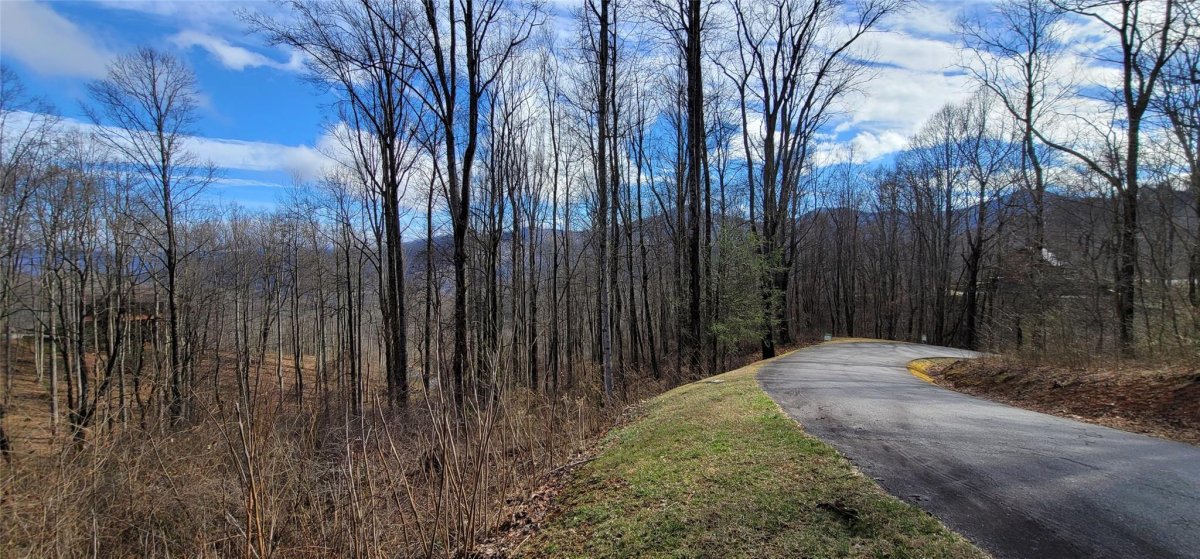 Lot 19 Mountain Watch Drive