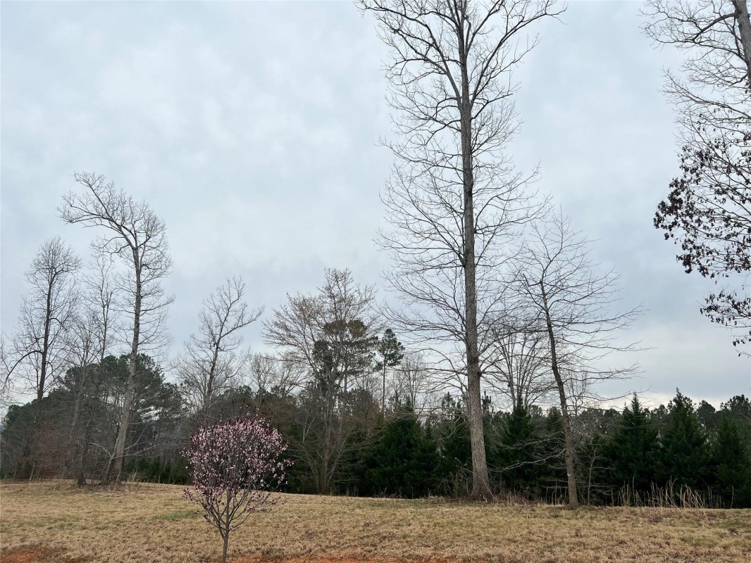4658 Bristol Drive 18