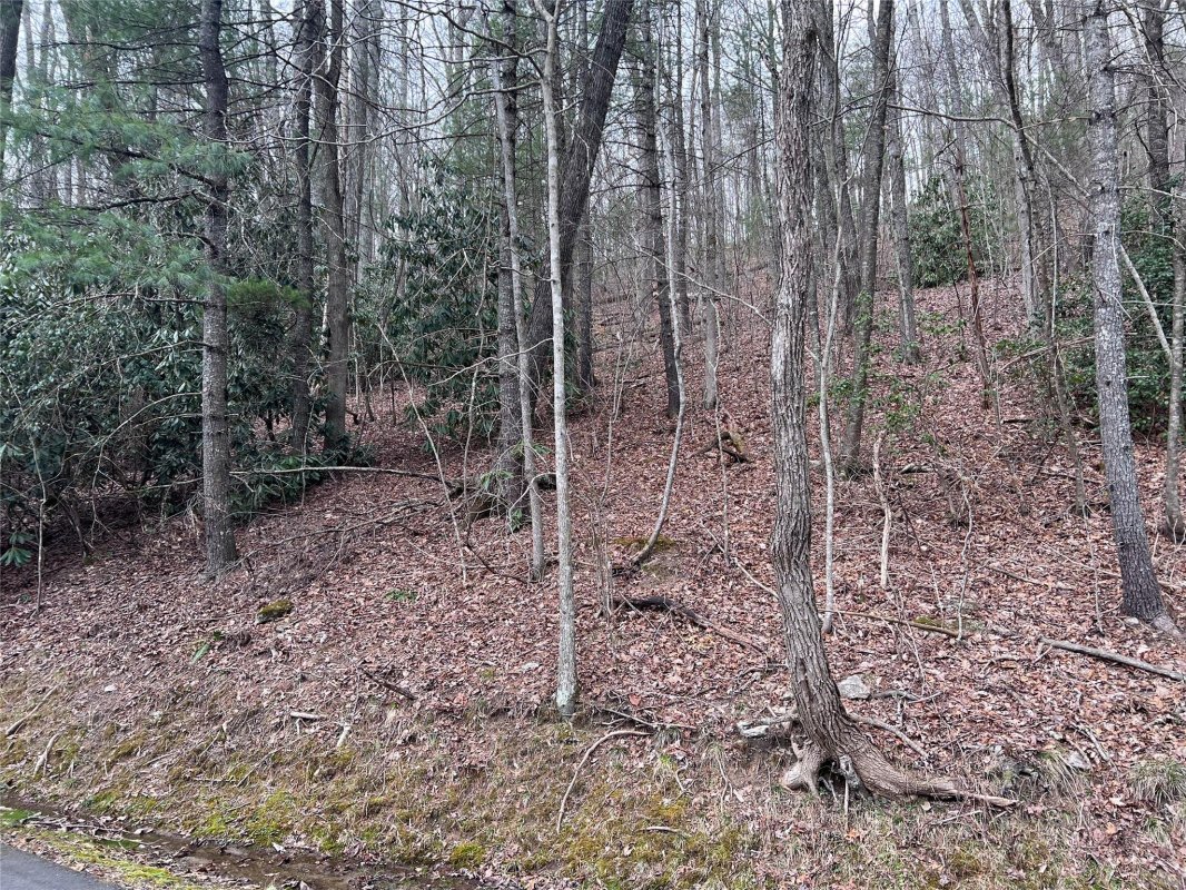 00 Lake View Road