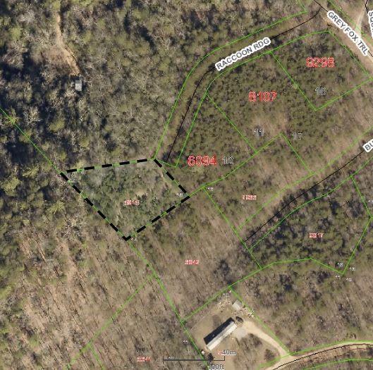 100 Racoon Ridge 13