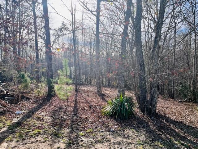 404 Lookout Dam Road