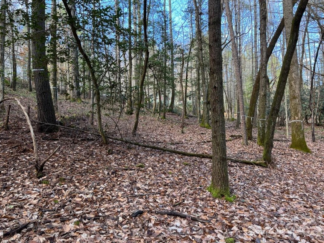 Tbd Deerlake Road 11