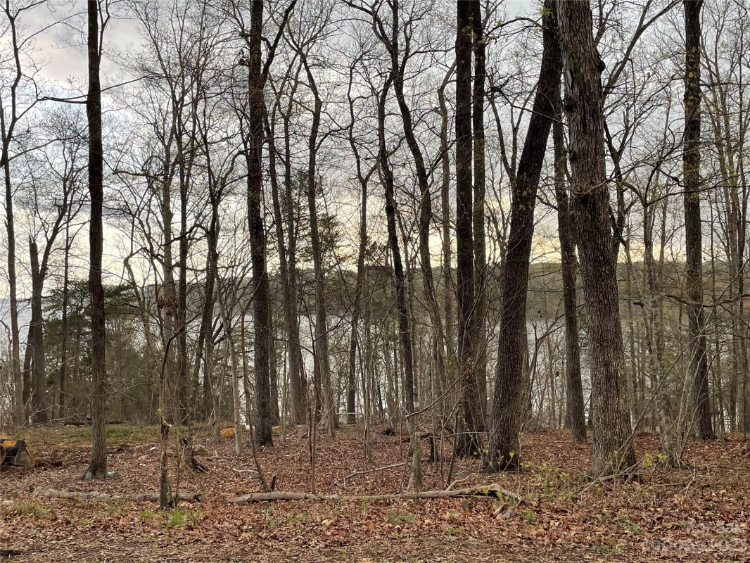 0 Skyline Drive