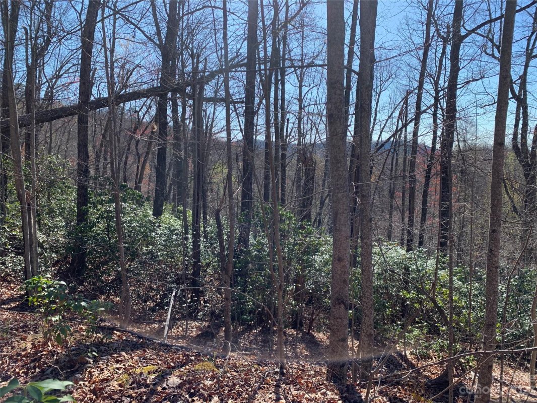 Tbd Rhododendron Drive 740