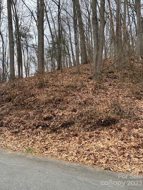 Lot Liberty Road 21