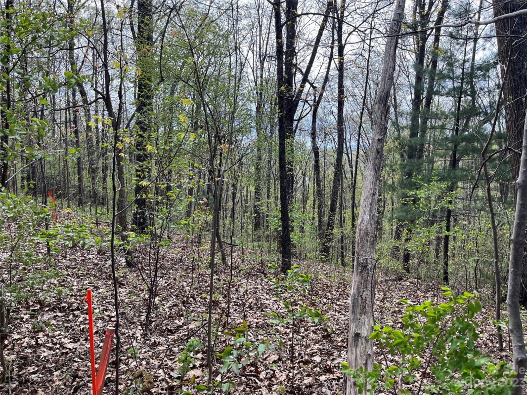 99999 Buffalo Trail 86