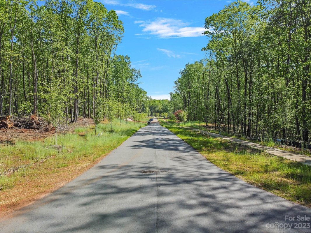 Lot 14 Brancer Lane