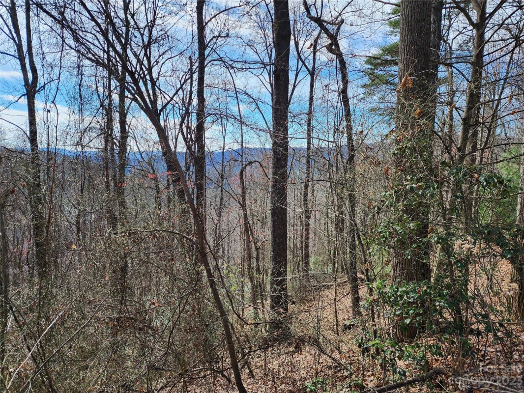 Tbd Deer Run