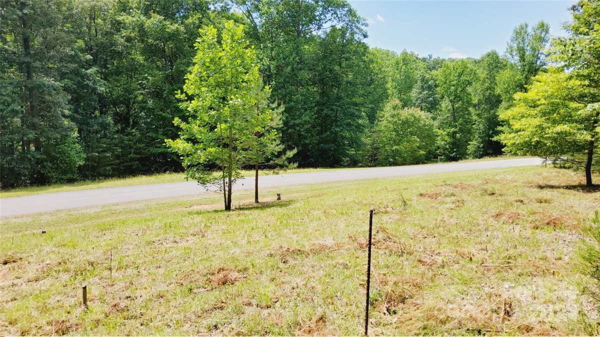 0 Cinnamon Ridge 398