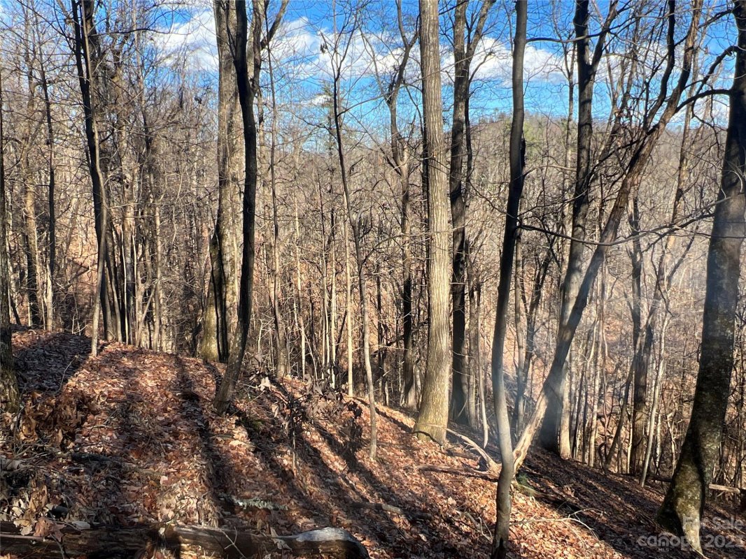 Lot 22 Autumn Ridge Drive