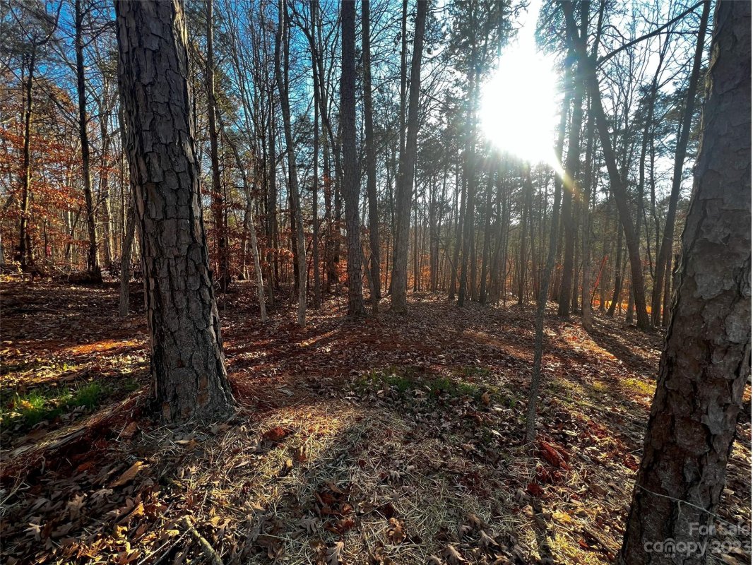 157 Copper Pine Lane
