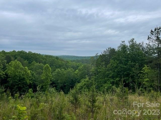 3715 Big Creek Road