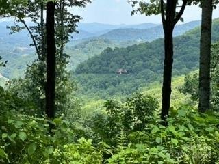 C76 Amanugi Trail