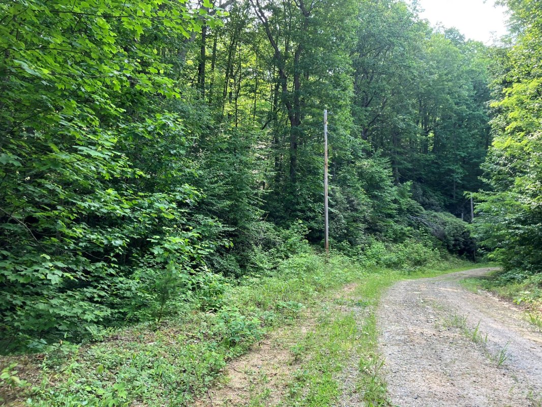 Lots 533 534 Jones Court