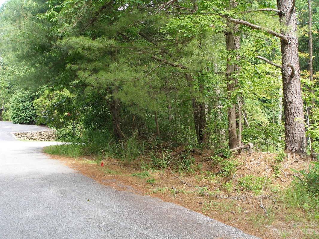 701 Chestnut Trail