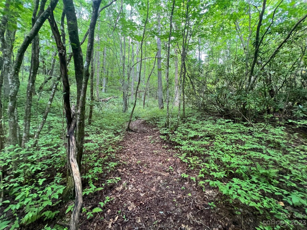 0000 Marshall Lake Road