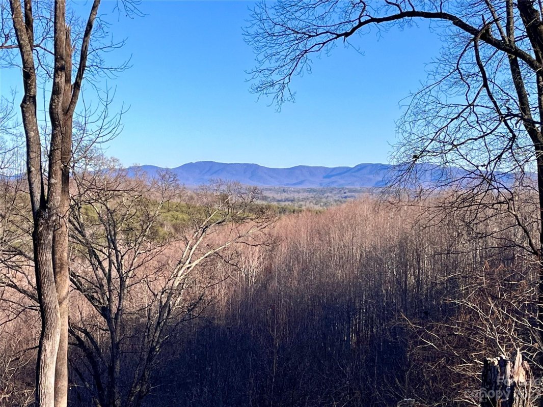 Lot 178 Black Lark Drive