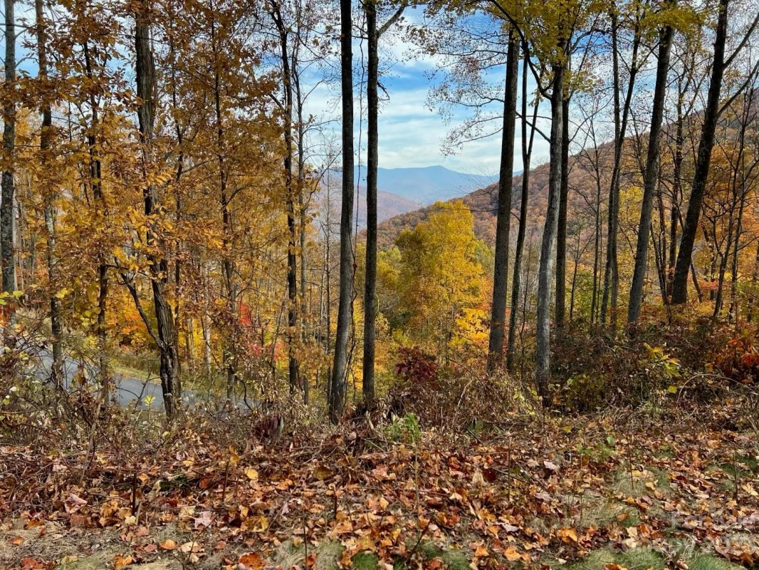1332 Daydream Ridge 67