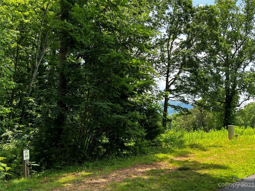 25 Trail Top Drive 40