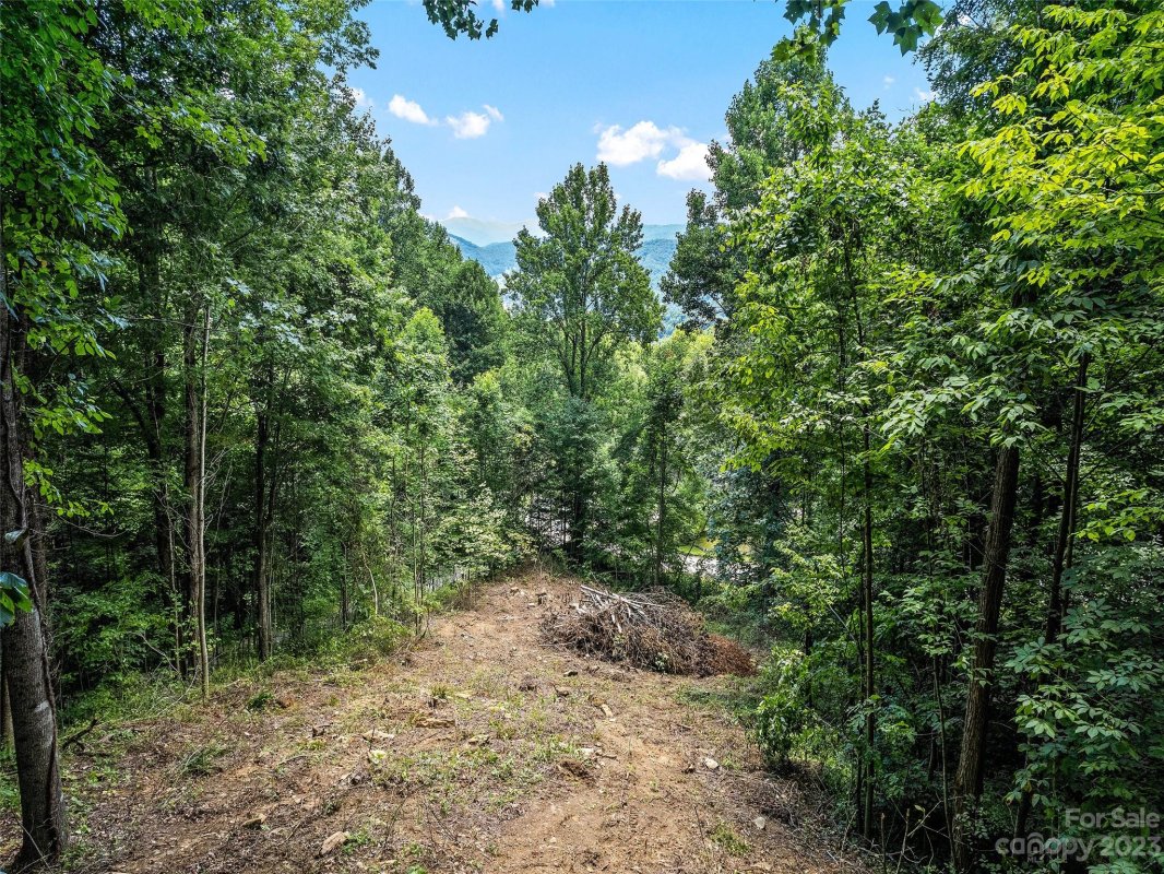 Lot 2 Sage Lane