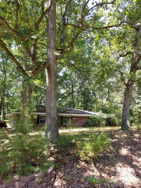 22551 Oakwood Road