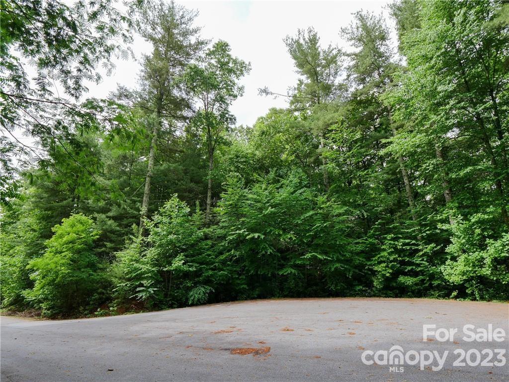73 Summer Shade Court 57