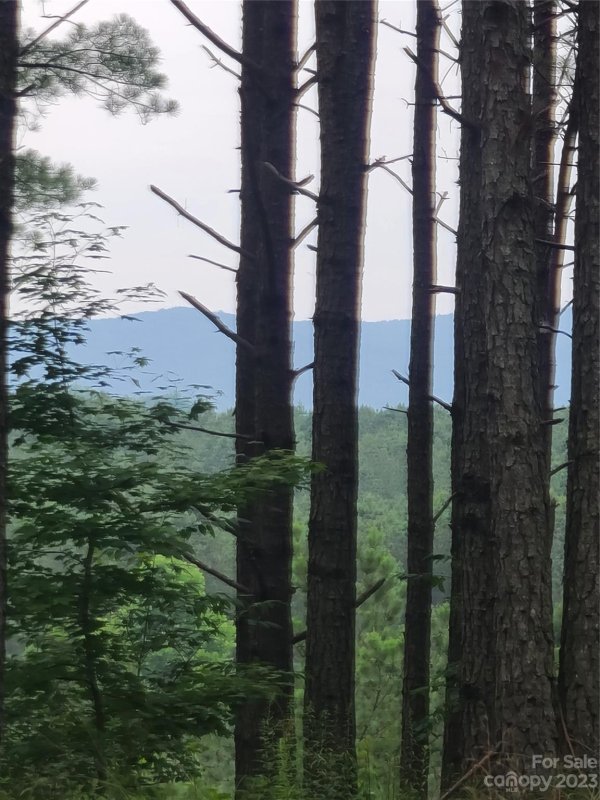 122 Table Rock Trace