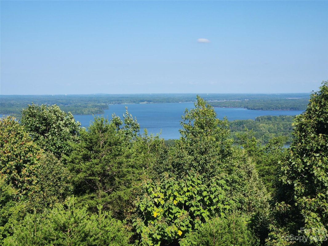 473 Palisade Trail 181